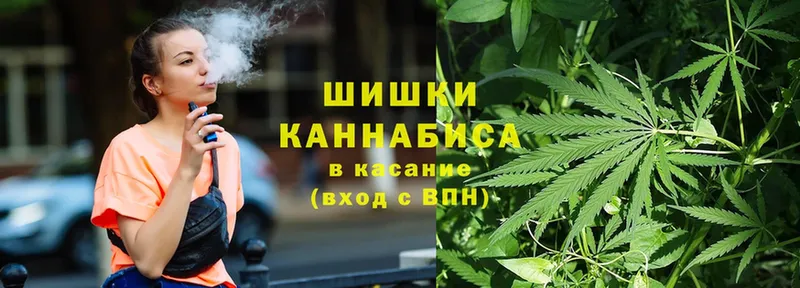 Конопля Amnesia  Александровск 